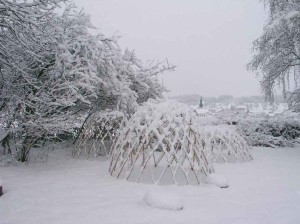 WeidenkuppelnimWinter