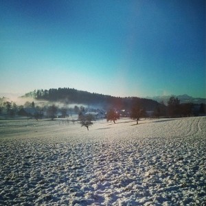 achbergwinterbearb